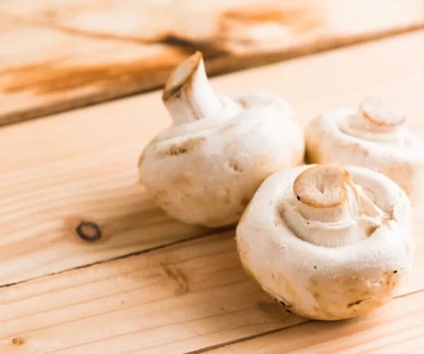 Mushroom Stock Image-min